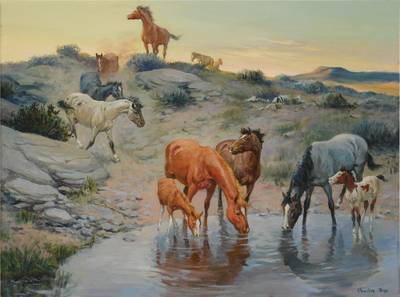 At the Waterhole