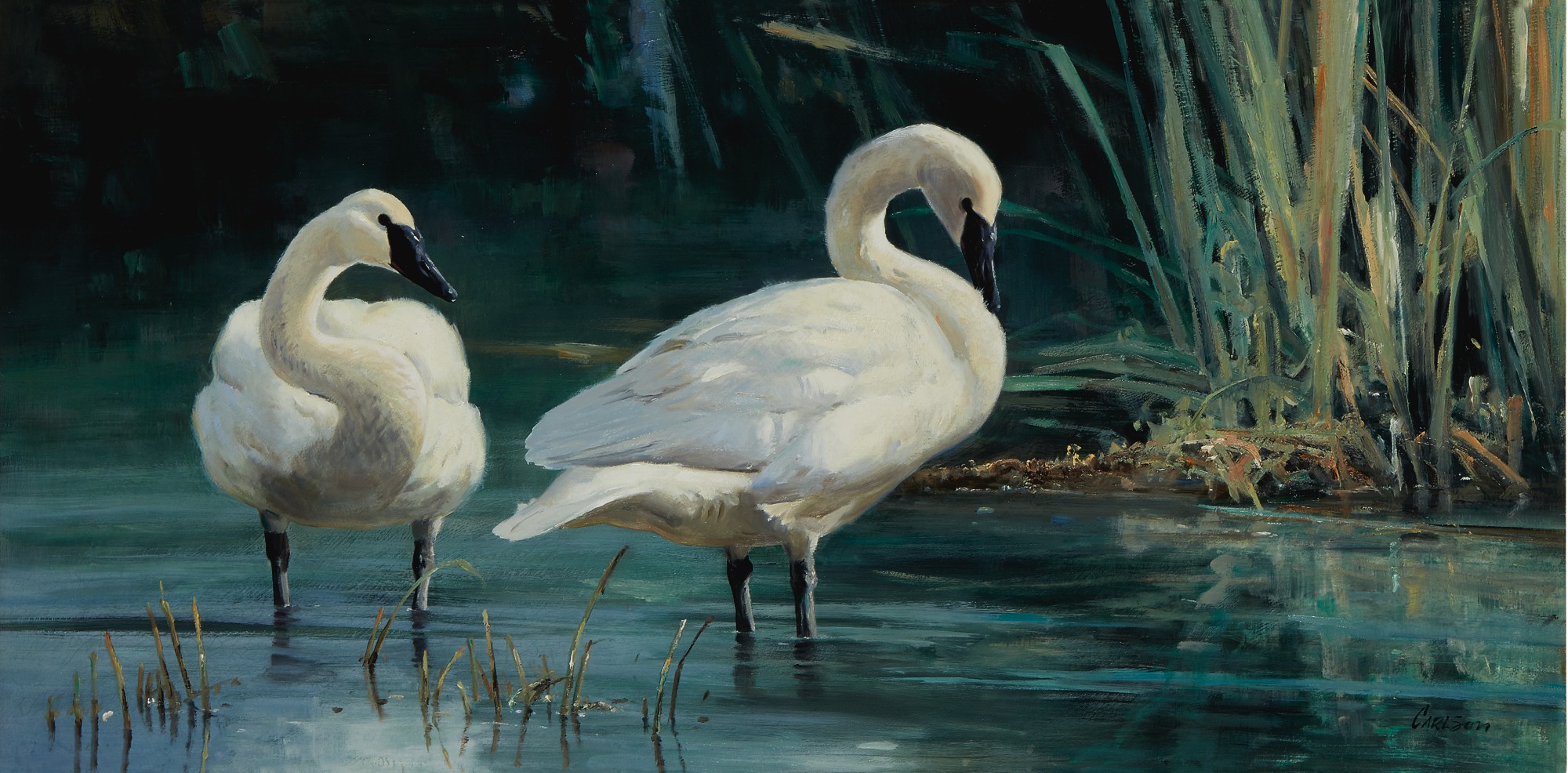 Ken Carlson — Refuge Waters