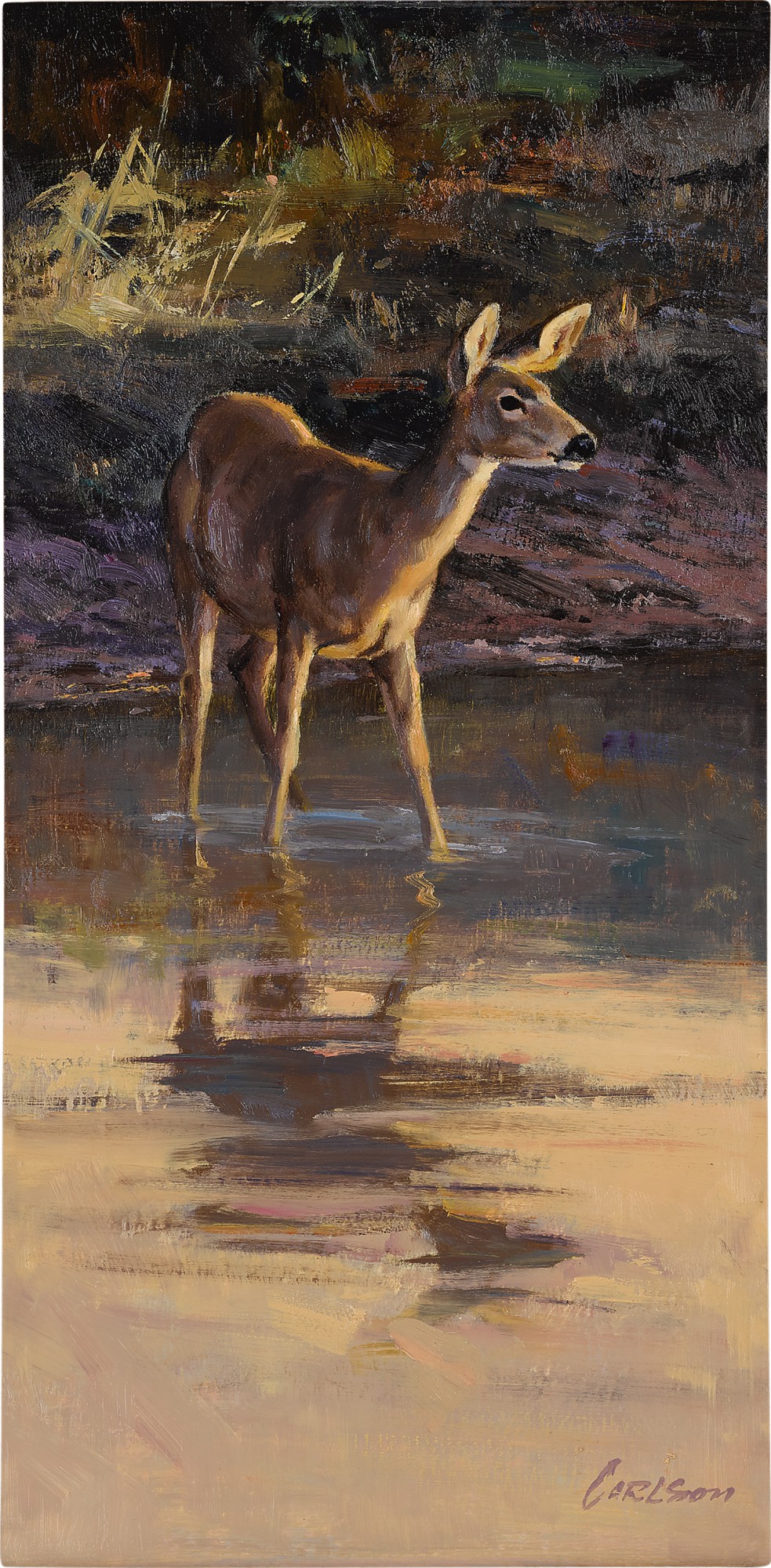 Ken Carlson — Reflection