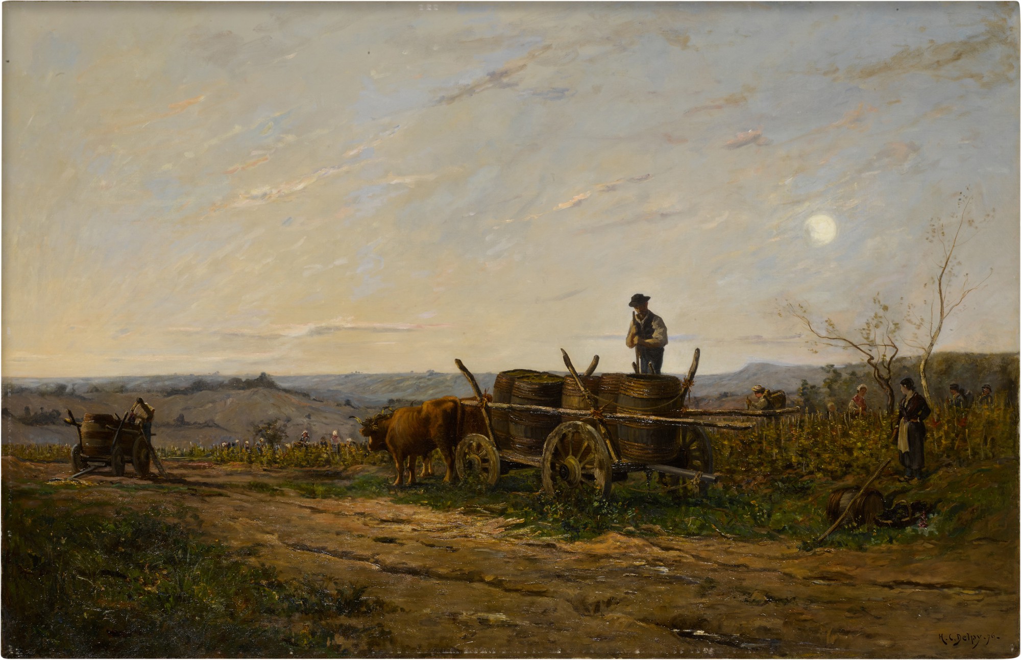 Vendange nivernaise - effet de matin