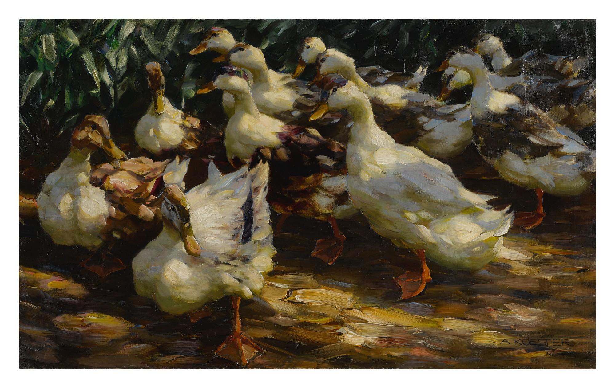 Alexander Koester — Ducks in Sunlight