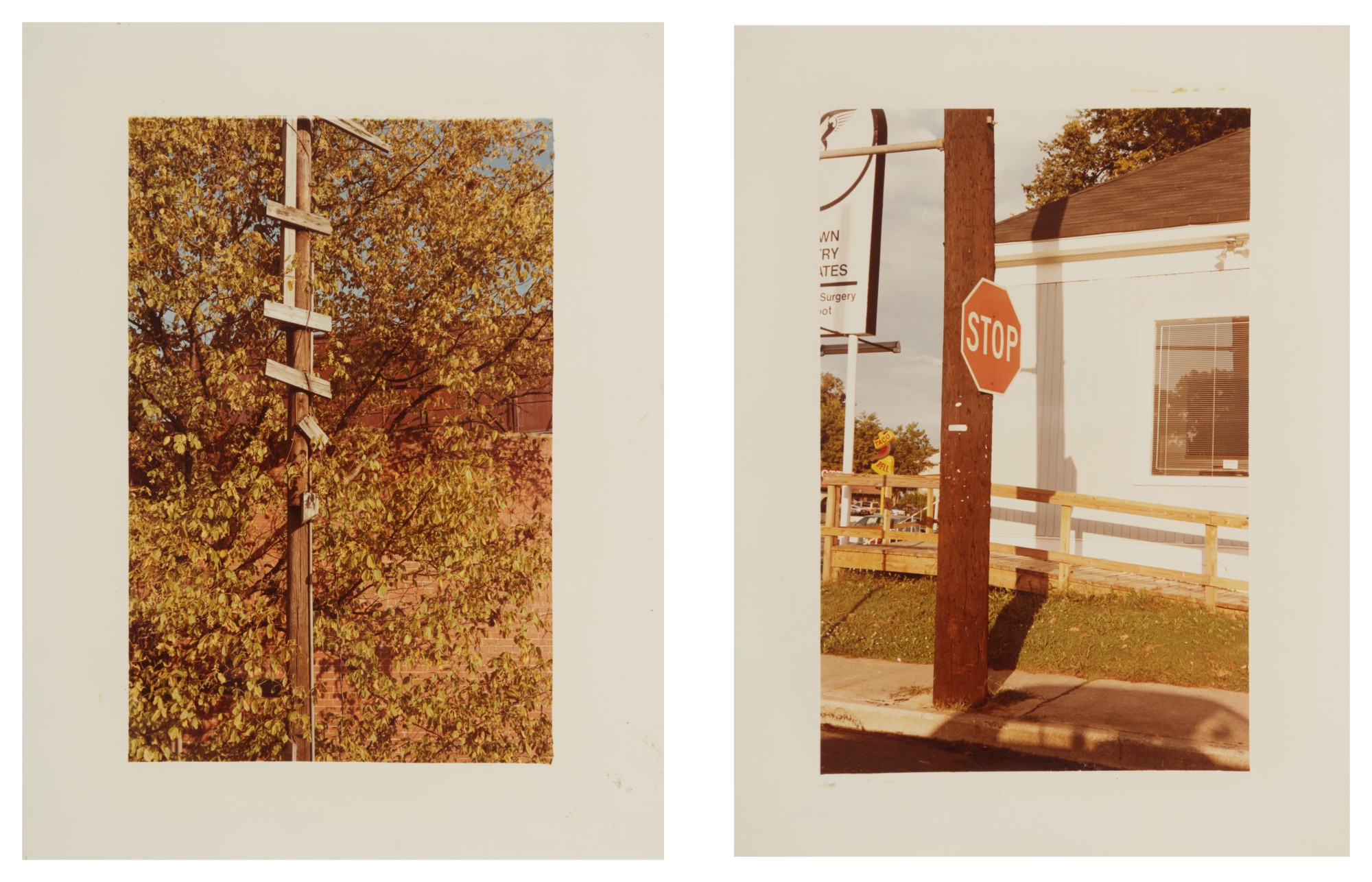 William Eggleston — Selected Images