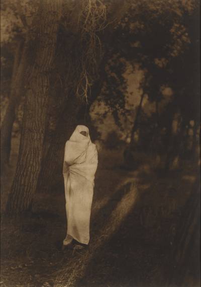 'Waiting in the Forest - Cheyenne'