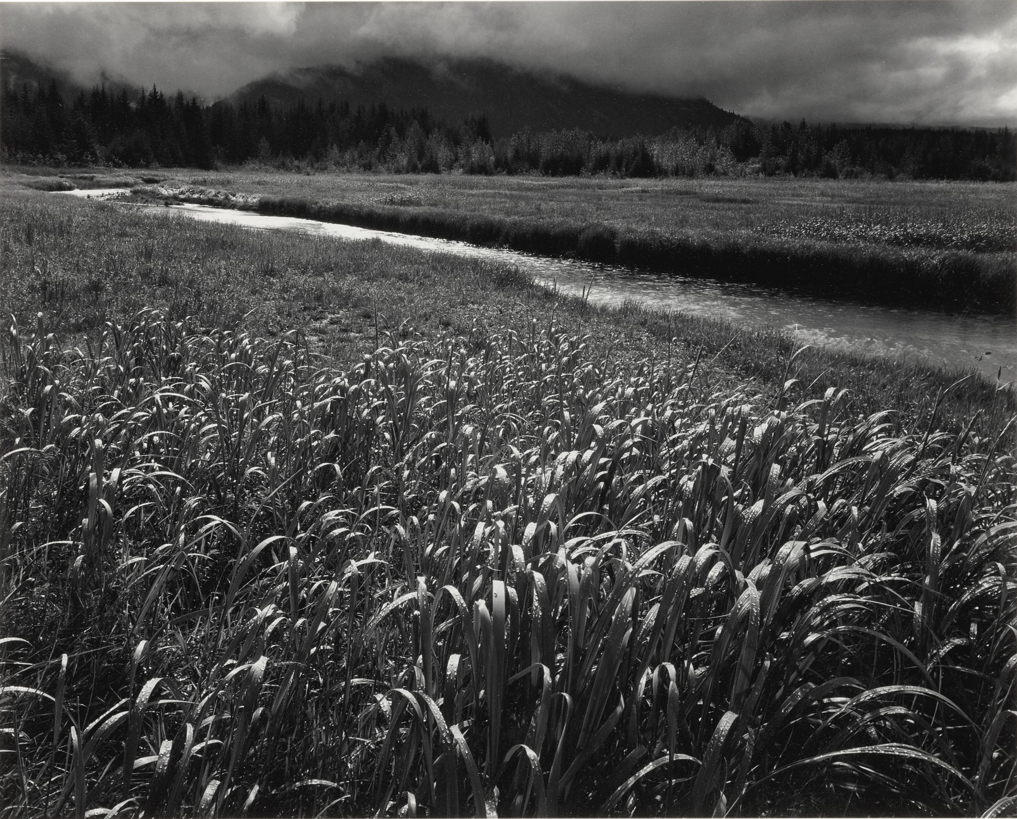 Ansel Adams — 'Bear Track Cove, Alaska'