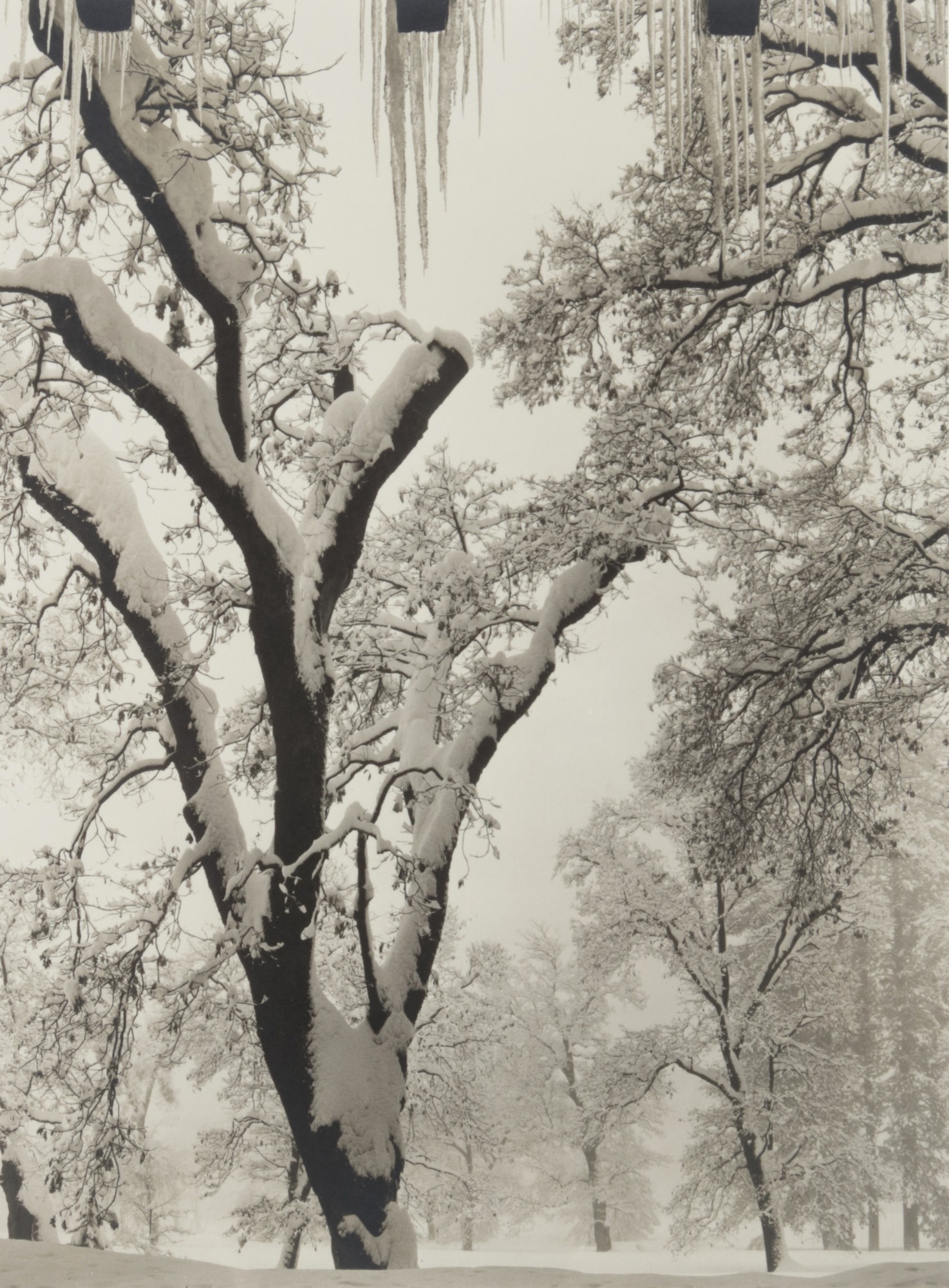 Ansel Adams — Icicles, Ahwahnee Hotel, Yosemite National Park, California