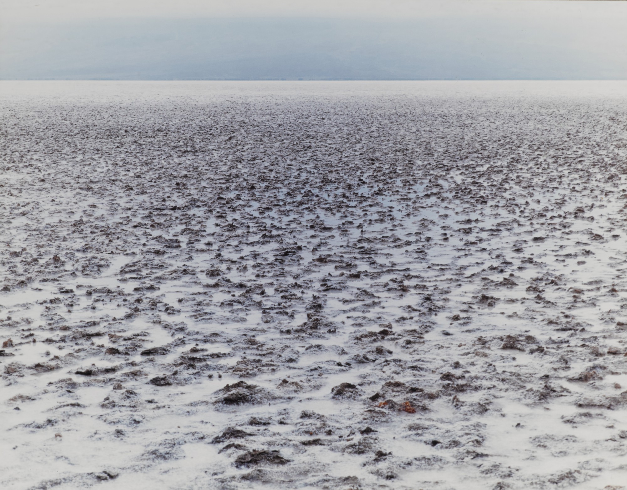 Liz Deschenes — '275 Feet Below Sea Level'