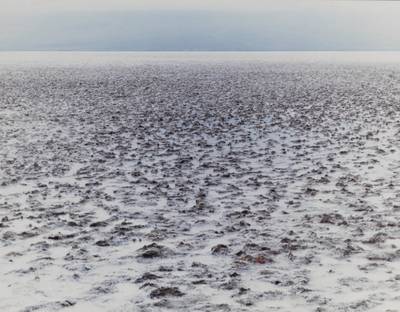 '275 Feet Below Sea Level'