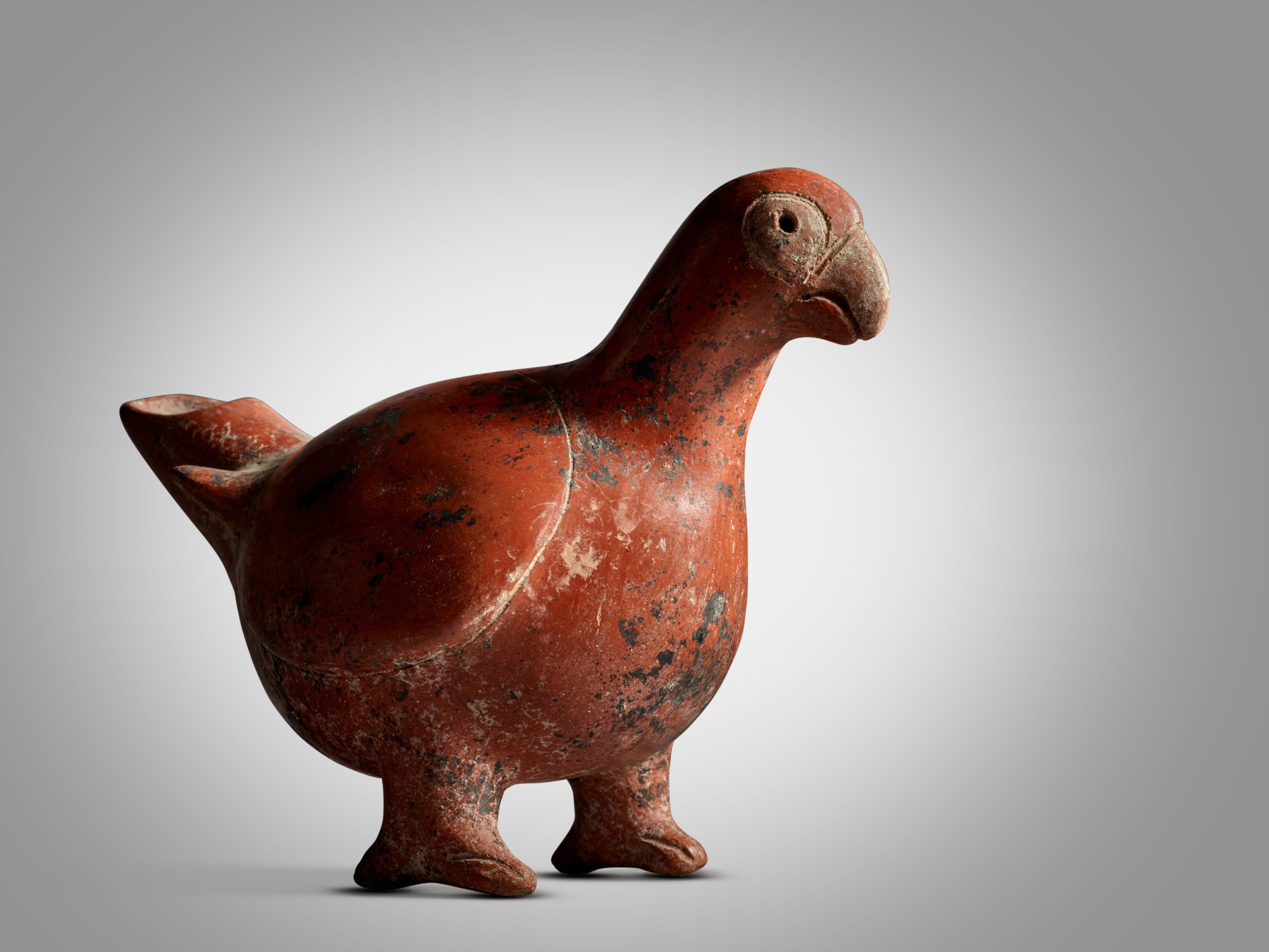 Colima Parrot, Protoclassic, circa 100 BC - AD 250 — Colima Parrot, Protoclassic, circa 100 BC - AD 250