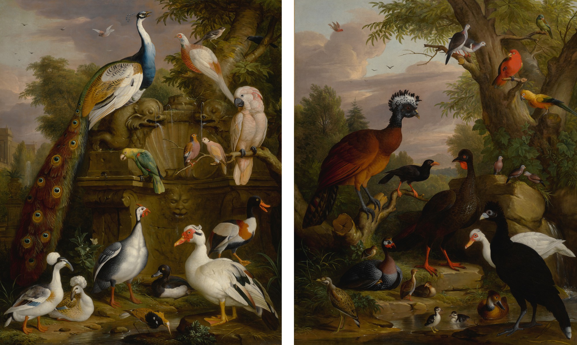 Unknown — An assembly of birds in a parkland landscape, including a blue peacock, a pair of domestic crested ducks, a barbary coast duck, a red crested cockatoo, a yellow-headed Amazonian parrot, a great curassow, a white Muscovy duck, an Australian king parrot, guinea fowl, and turtle doves