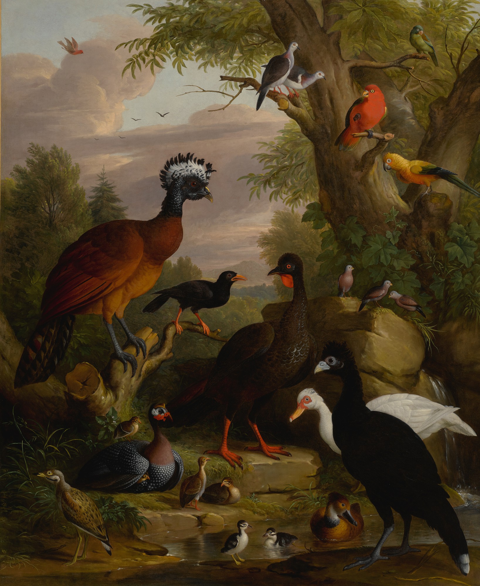 Unknown — An assembly of birds in a parkland landscape, including a great curassow, a blue-billed curassow, a white muscovy duck, an Australian king parrot, a yellow parrot, turtle doves, a crow, a guinea fowl, and ducks