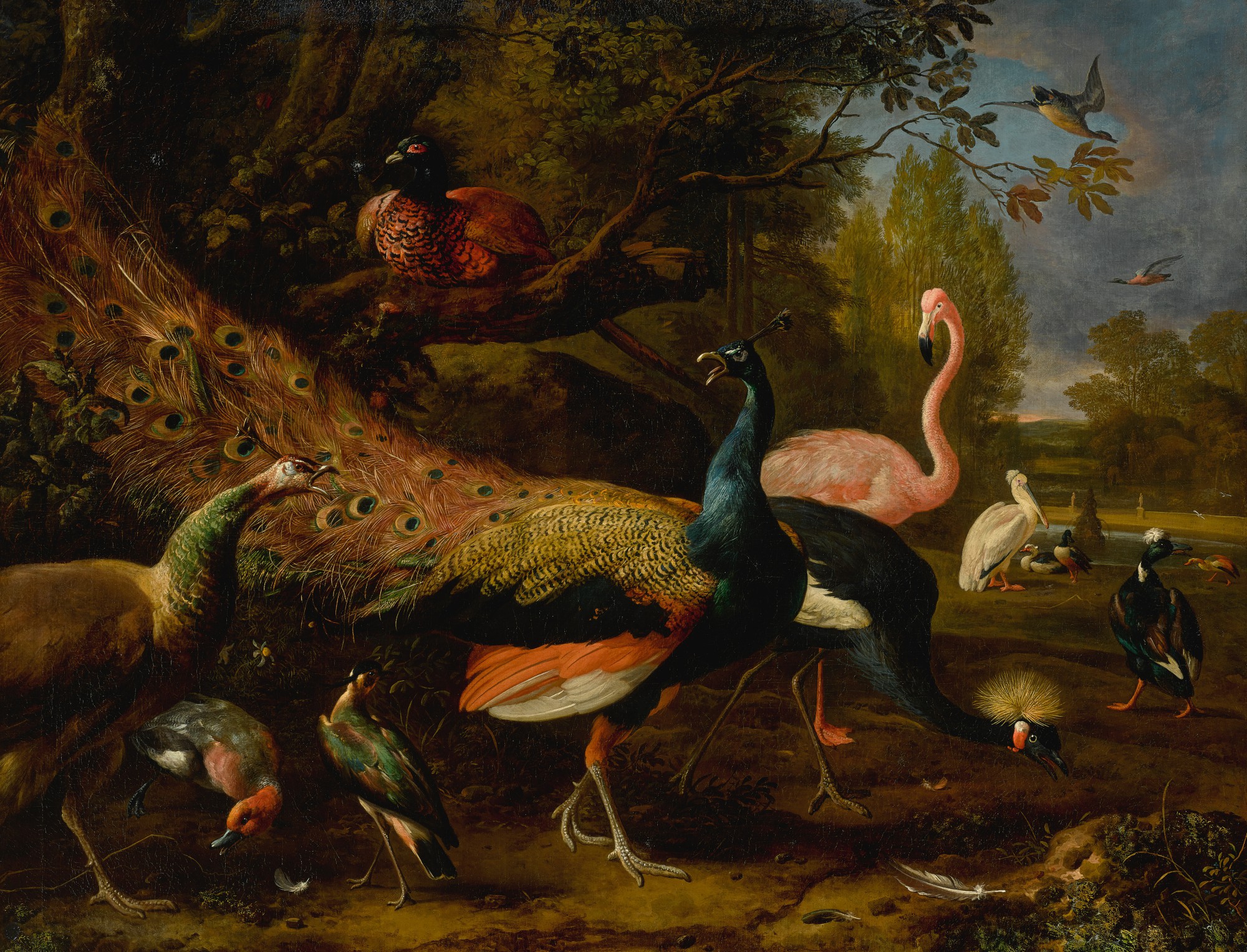 Unknown — Exotic fowl, including a peacock and peahen, flamingo, African crane, pheasant, and lapwing, shoveller, pelican and tufted duck