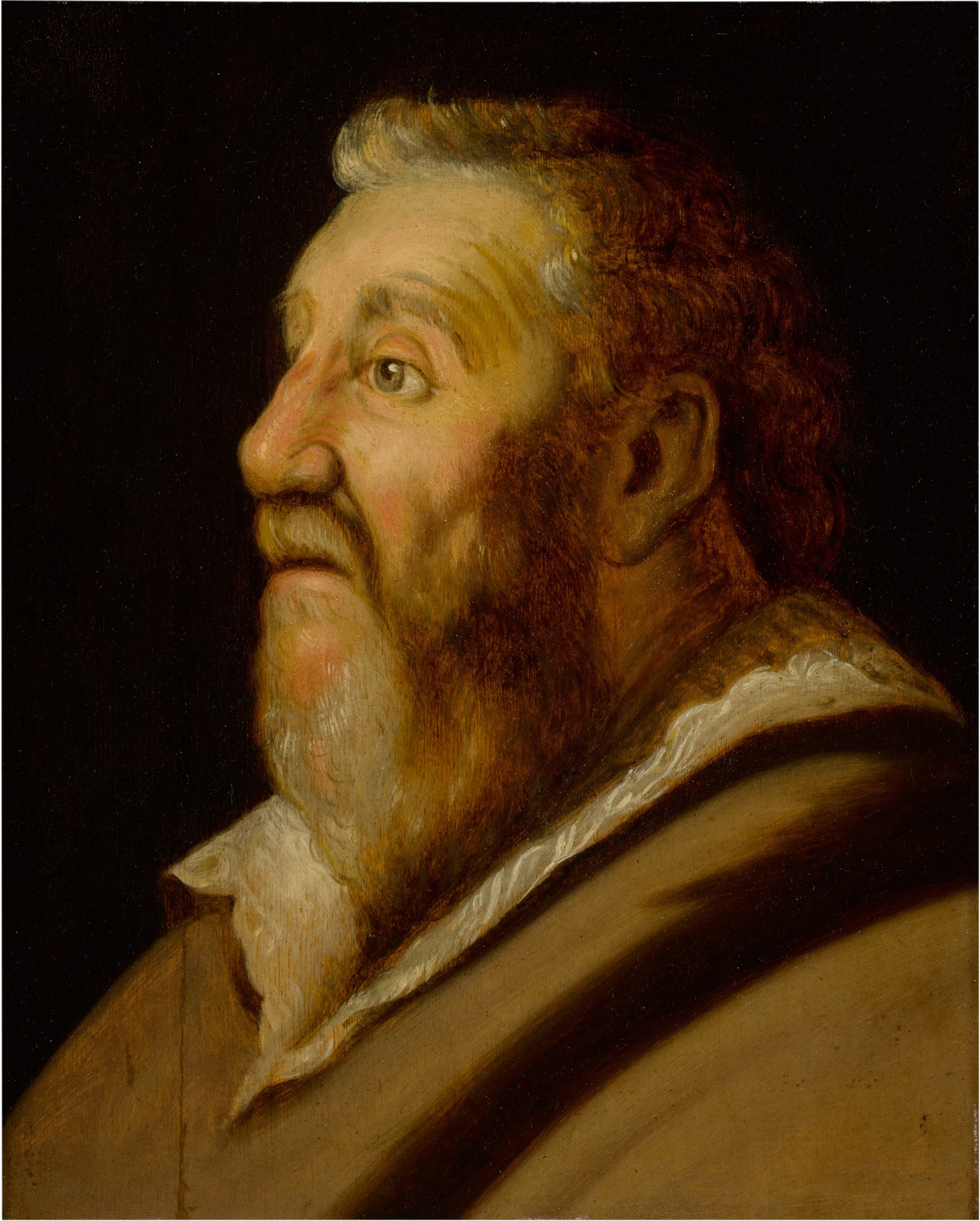 Study of a man looking up