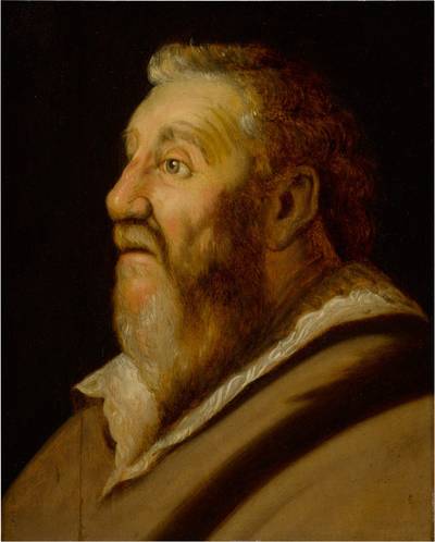 Study of a man looking up