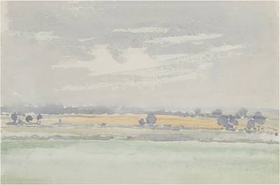 A Delicate Landscape