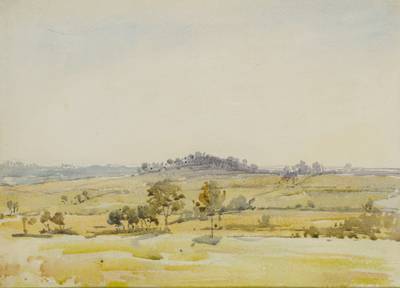 Landscape in a Golden Light