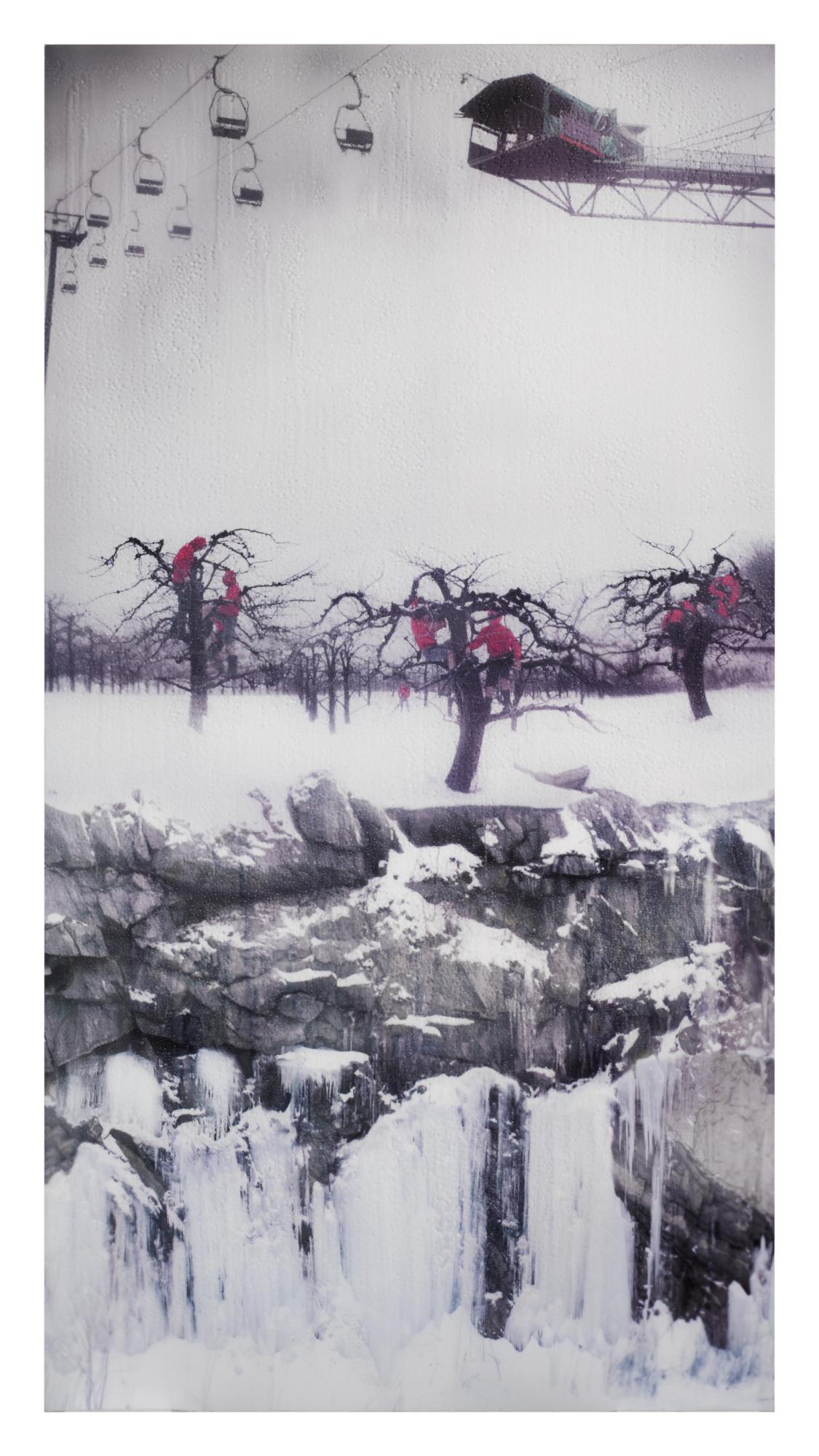 Orchard (from Sheltered)