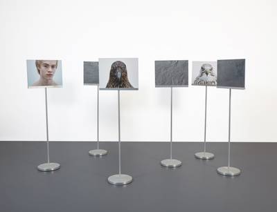 Doubt by Water (Why) 