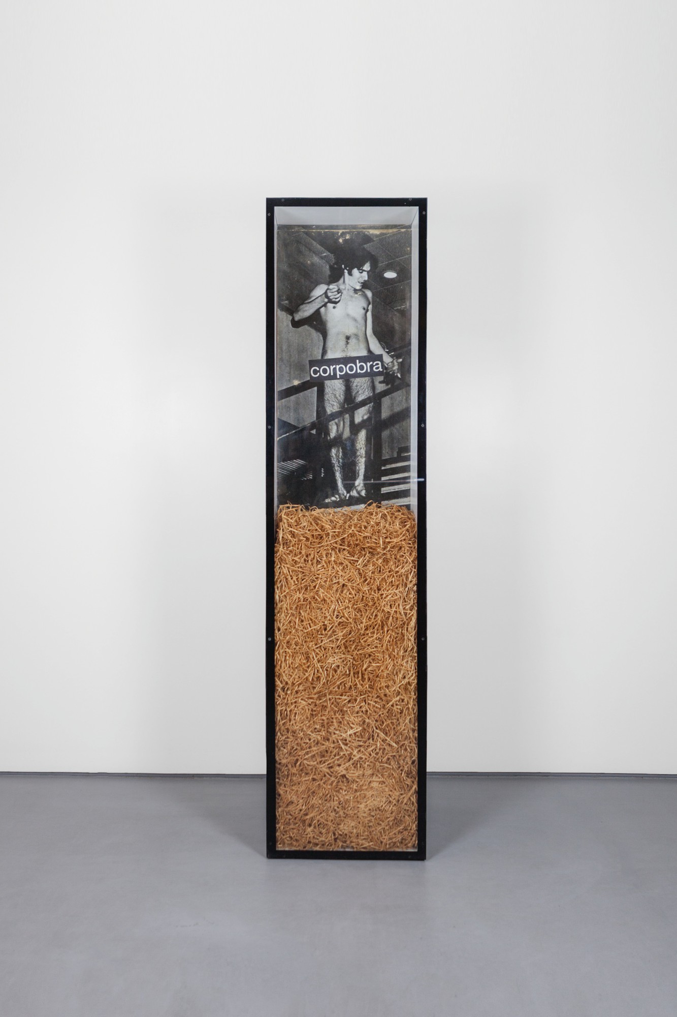 Antonio Manuel — Corpobra (Bodywork)