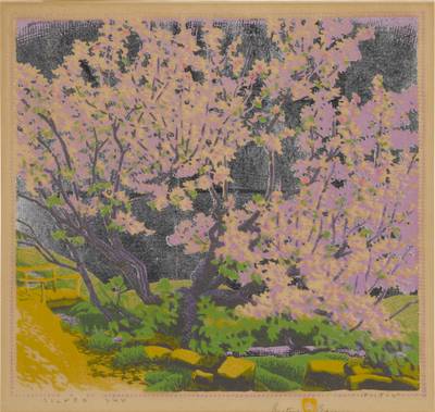 Silver Sky (Acton 116)