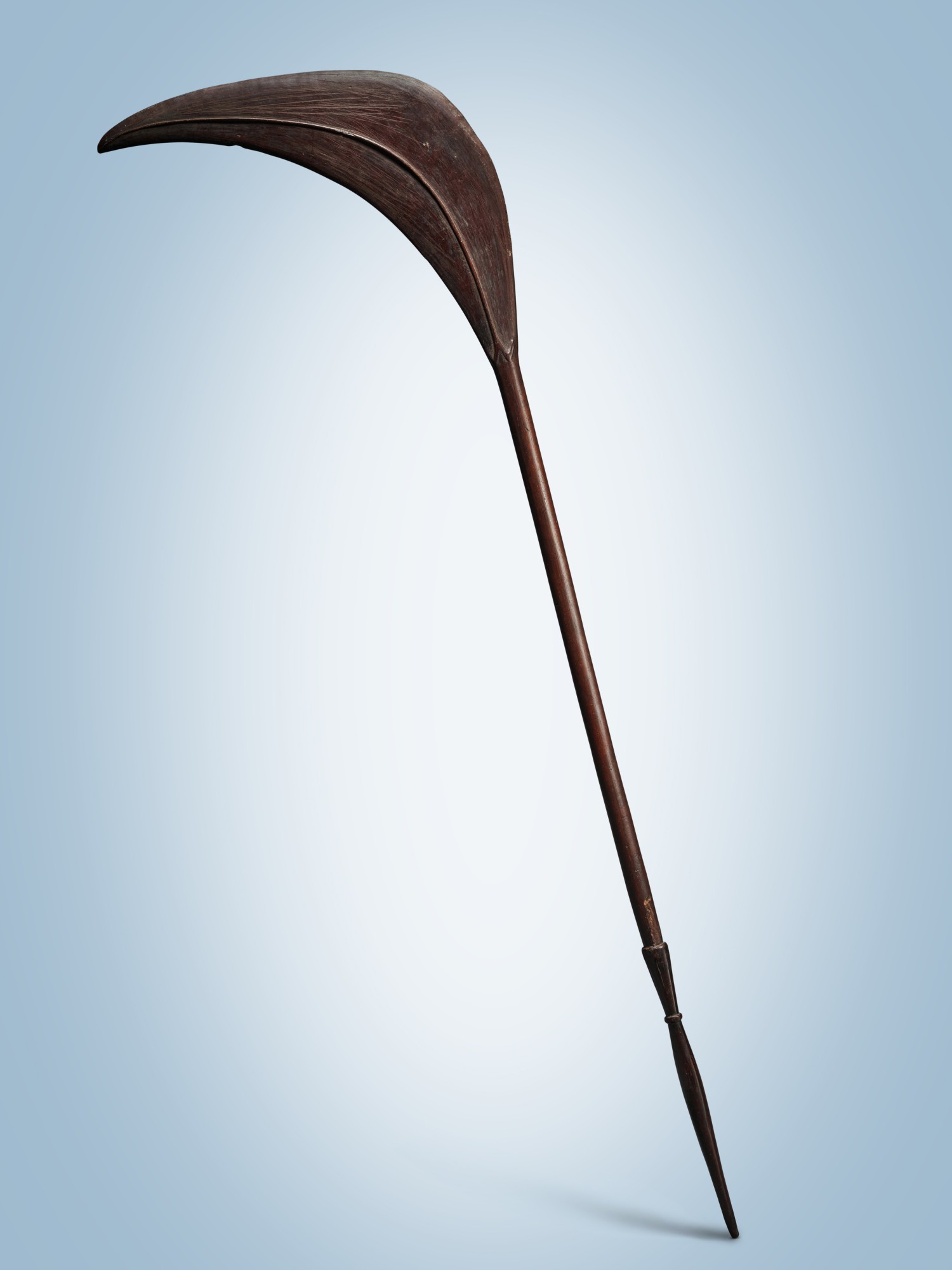 Parrying Shield, Makira (San Cristobal), Solomon Islands — Parrying Shield, Makira (San Cristobal), Solomon Islands