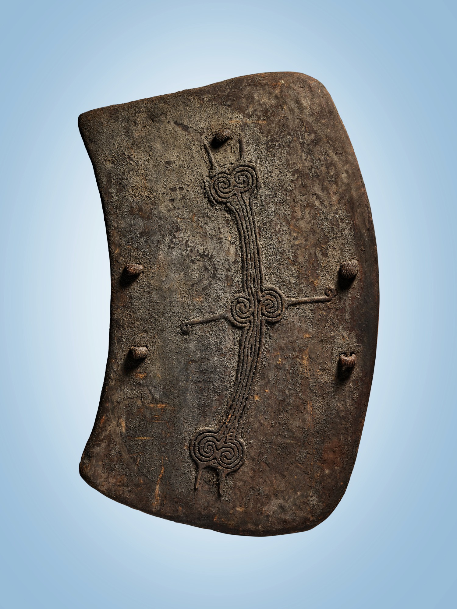 Unknown (Historical) — Olo Shield, Torricelli Mountains, West Sepik Province, Papua New Guinea