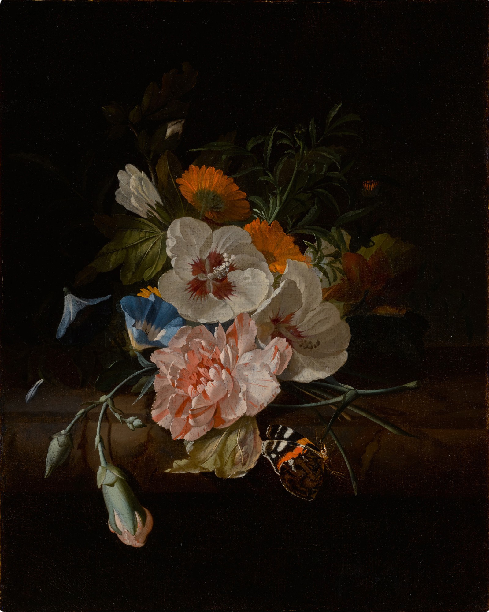 Rachel Ruysch
