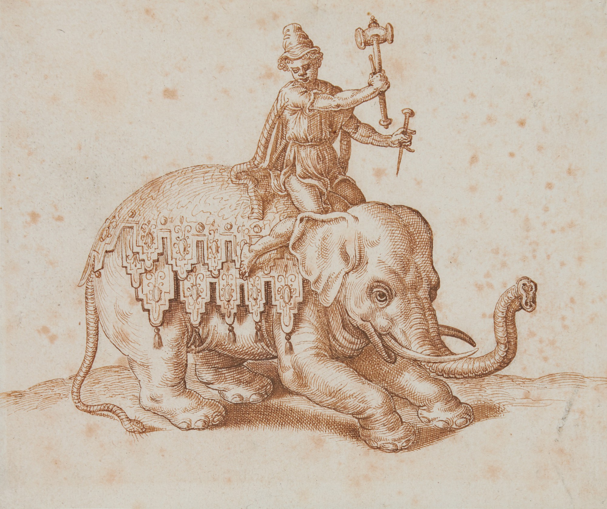 German School, late 16th Century — A man sitting atop an elephant