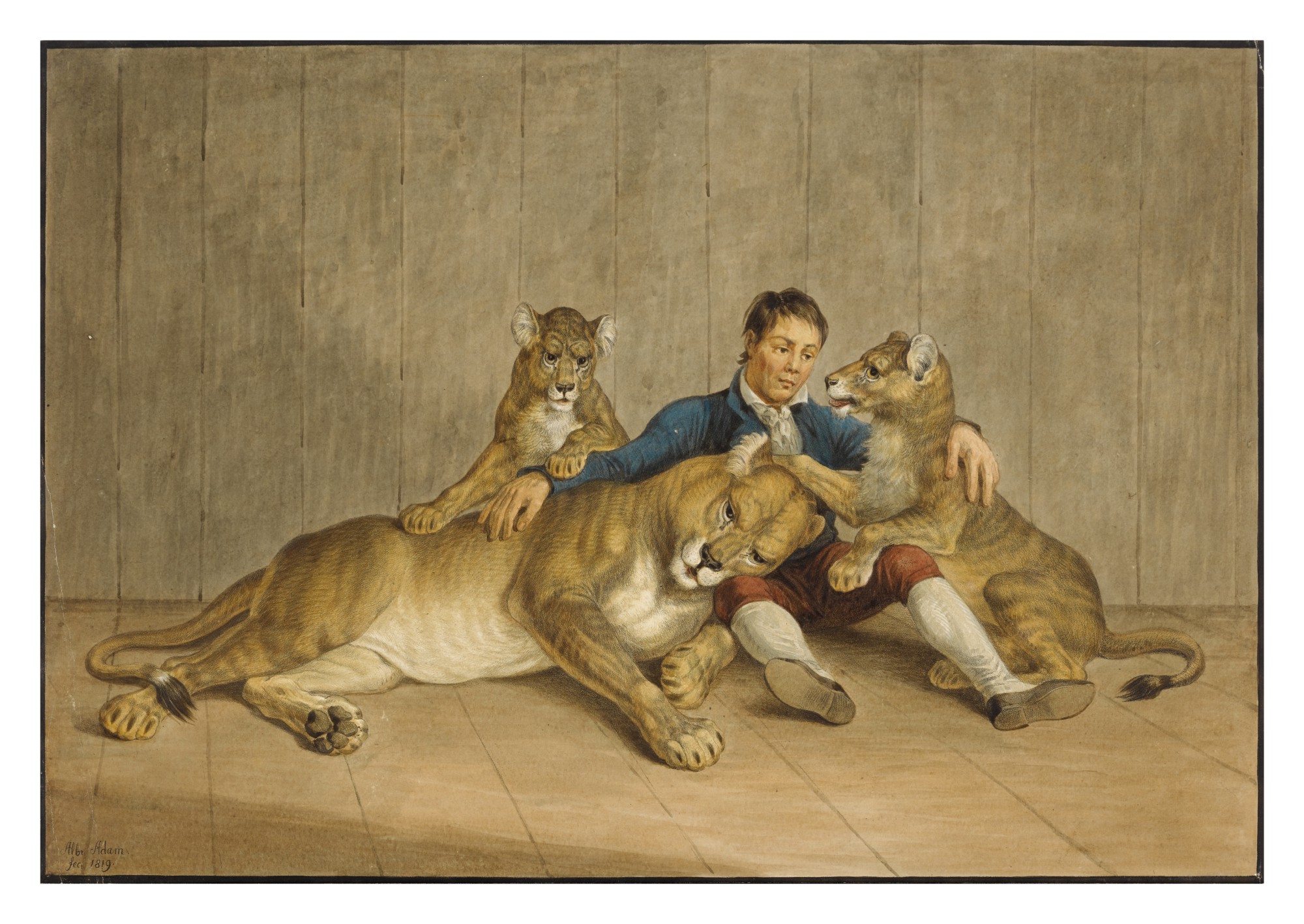 Albrecht Adam — A man sitting with a lioness and her two cubs