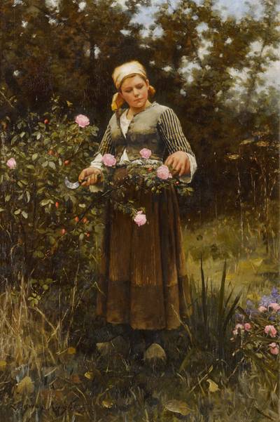 Gathering Roses