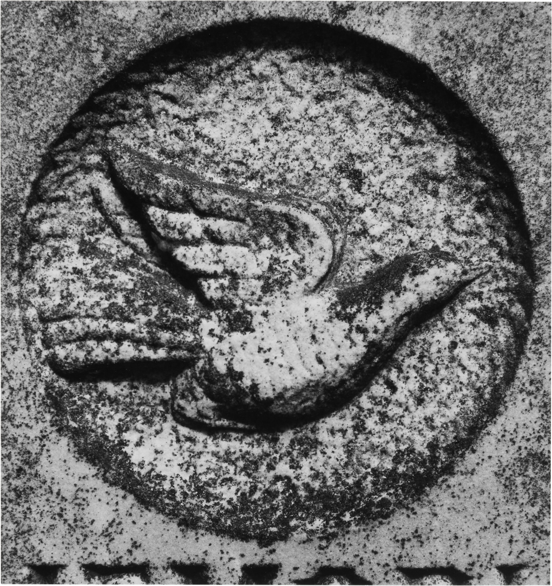 Ansel Adams — Selected Images (Gravestone Details, Concord, Massachusetts)