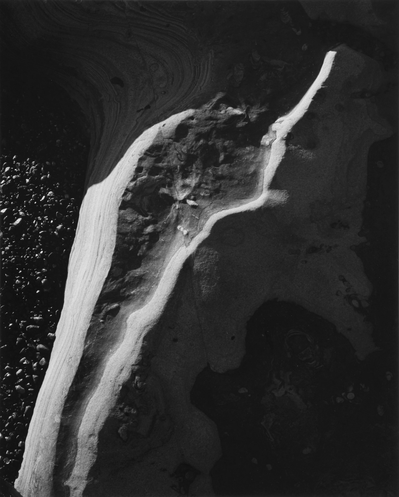 Ansel Adams — 'Rock Vein, Point Lobos'