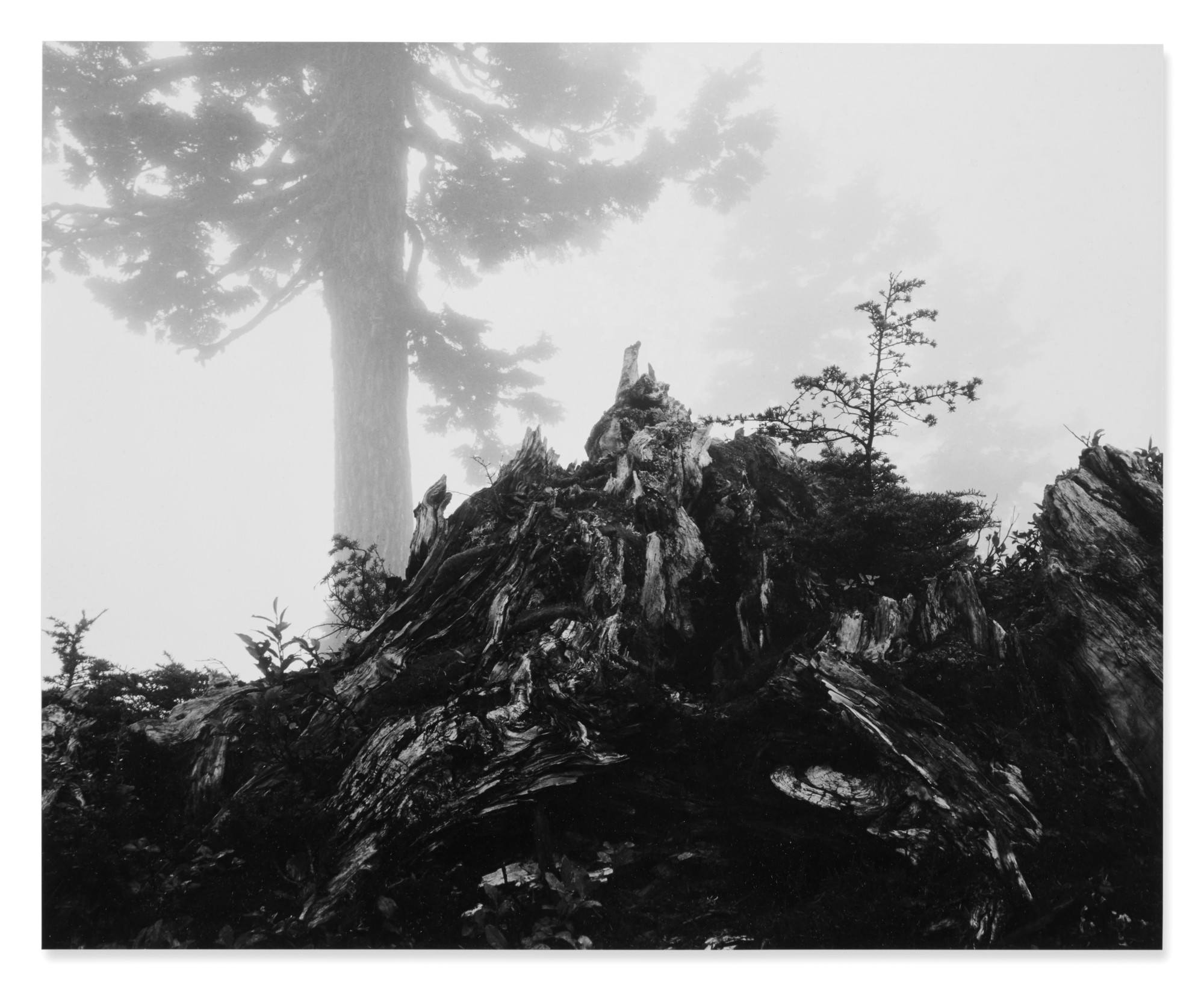 Ansel Adams — Mist, Cascade Pass, Washington