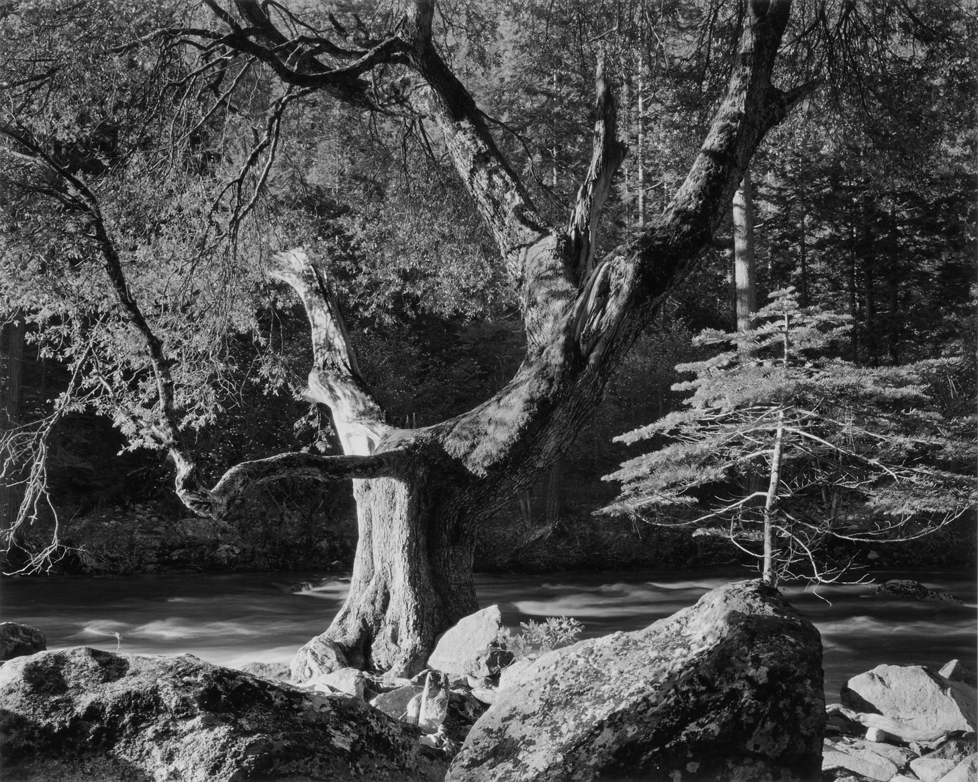 Ansel Adams — 'Early Morning, Merced River Canyon, Yosemite National Park, Ca.'