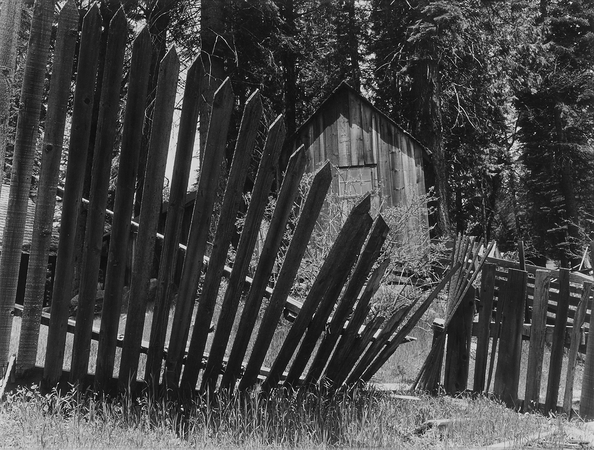 Ansel Adams — Fence and Old Cabin