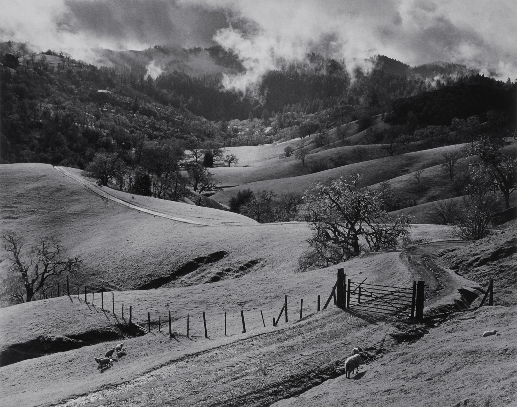 Ansel Adams — 'Pasture, Sonoma County Hills, California'