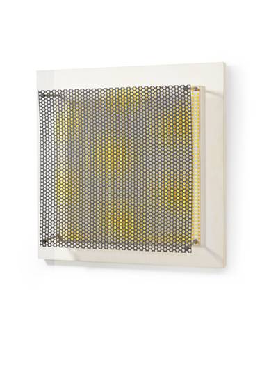 Grilla violeta y amarilla