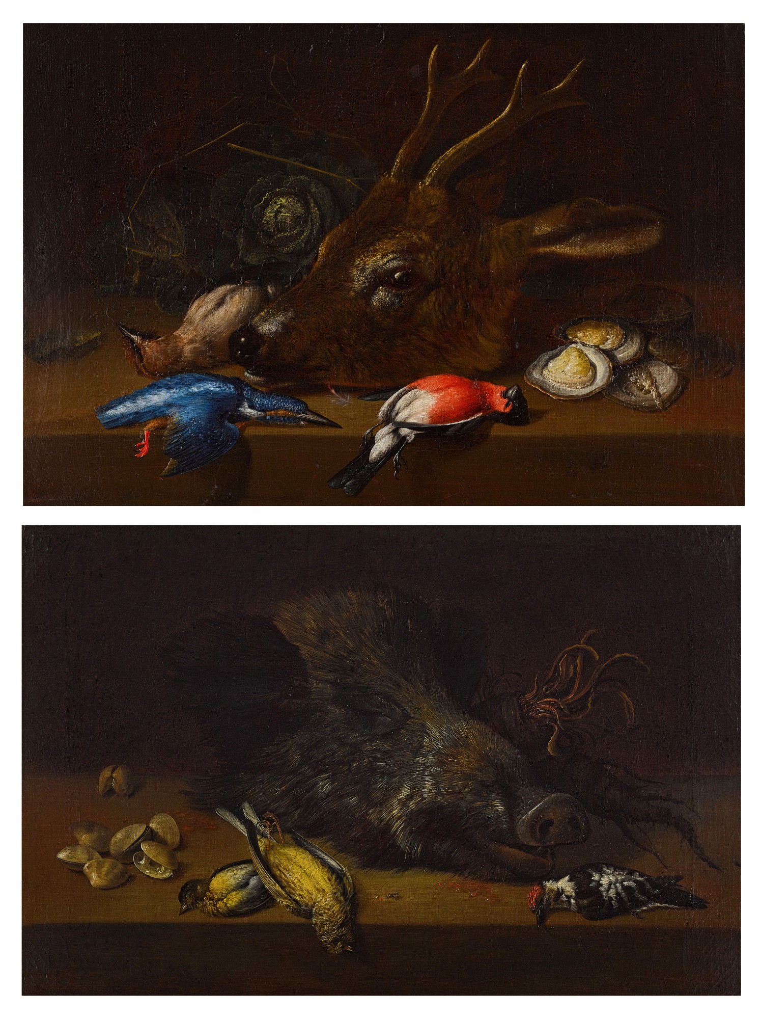 Still life with a boar's head, small birds and seashells Still life with a stag's head, a kingfisher, a bullfinch and seashells;