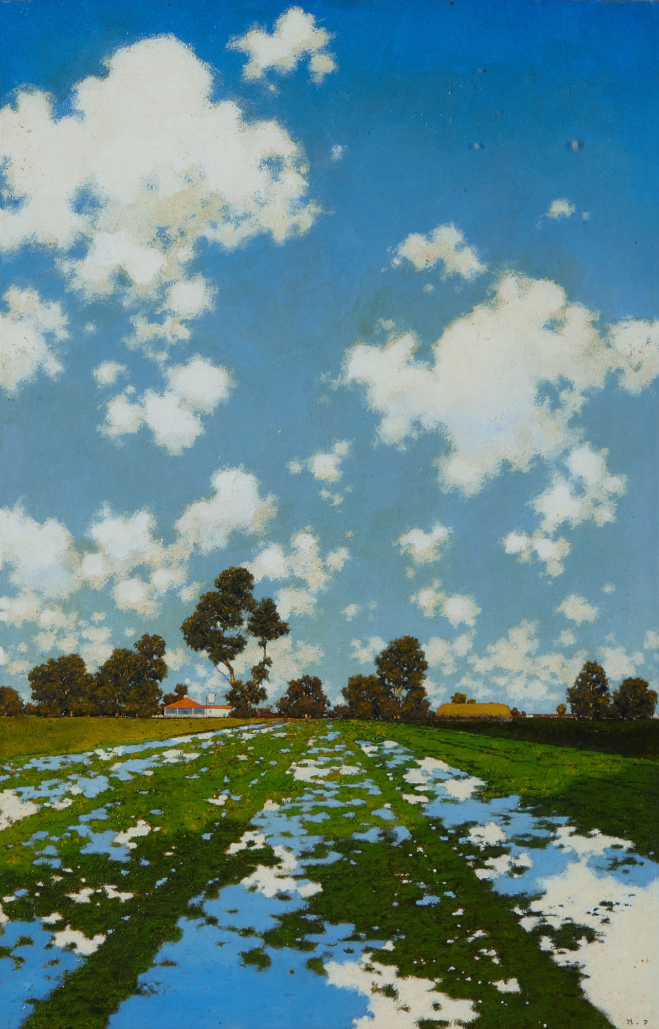 Water Let in on a Field of Alfalfa