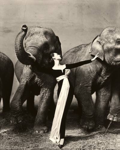 'Dovima with elephants,  Evening dress by Dior, Cirque d'Hiver, Paris, August 1955'