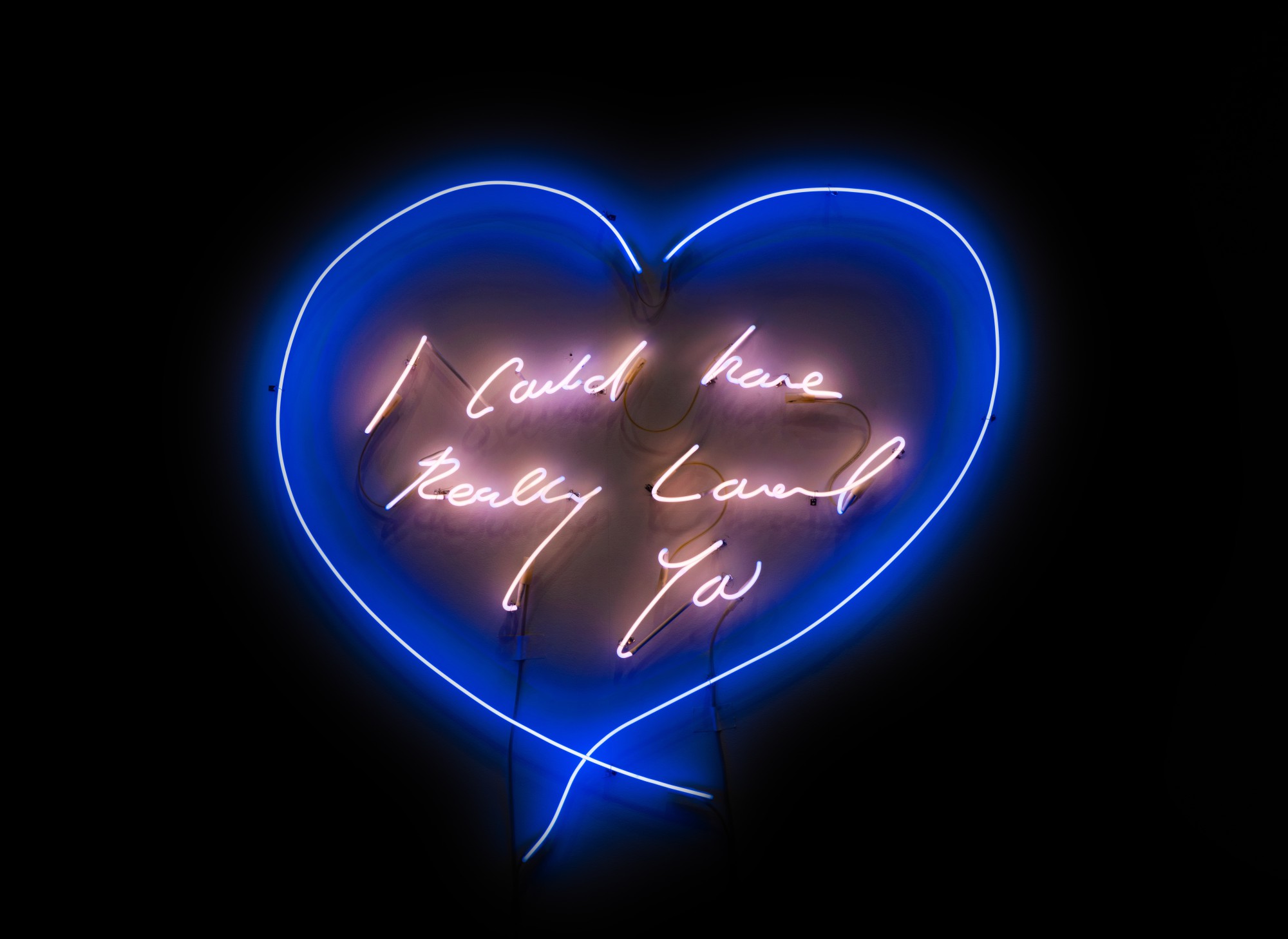 Tracey Emin — I could have really loved you
