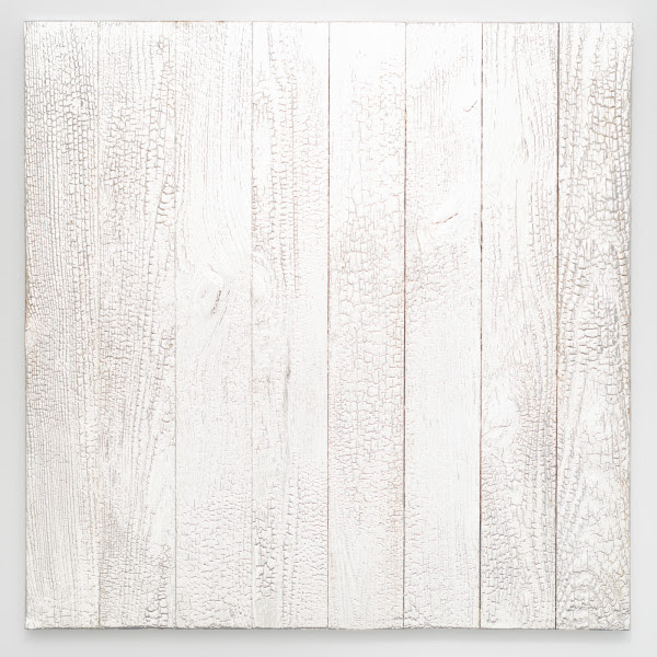 Miya Ando — Mirror Shou Sugi Ban 3.3.5 