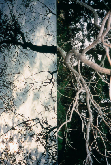 Barbara Crane — Coloma to Covert Schism