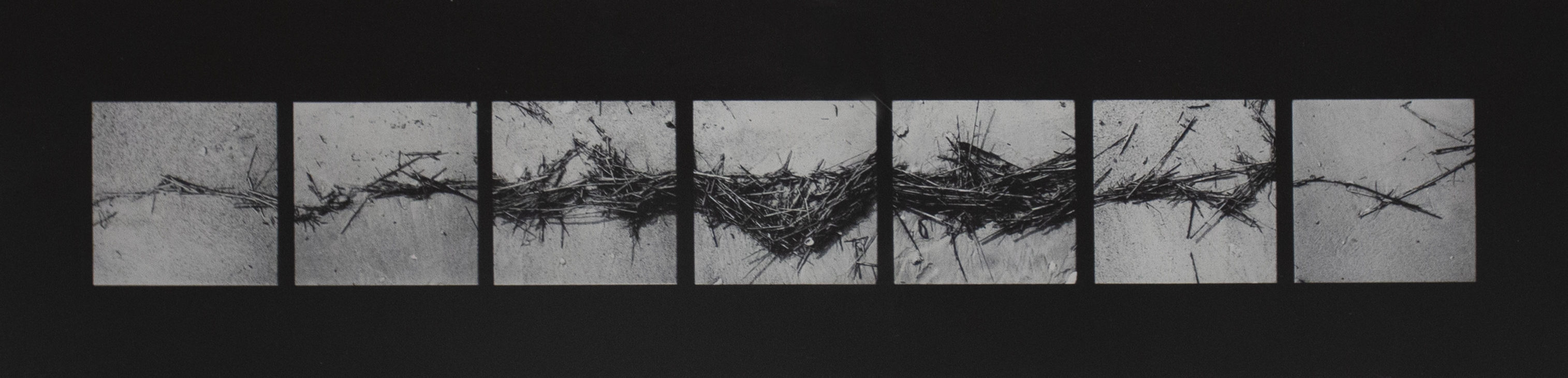 Barbara Crane — From the Beach on Fire Lane #10, from Repeats Series