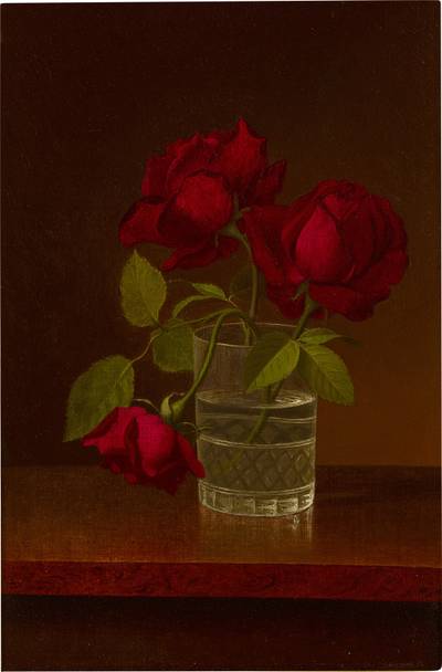 Still Life of Roses