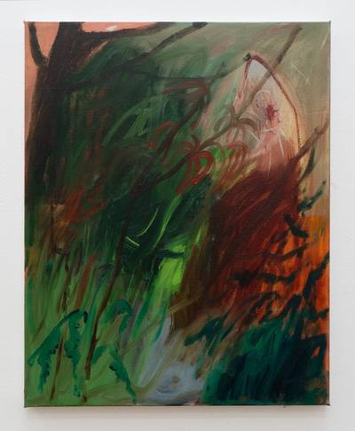 The Spider and the Fly