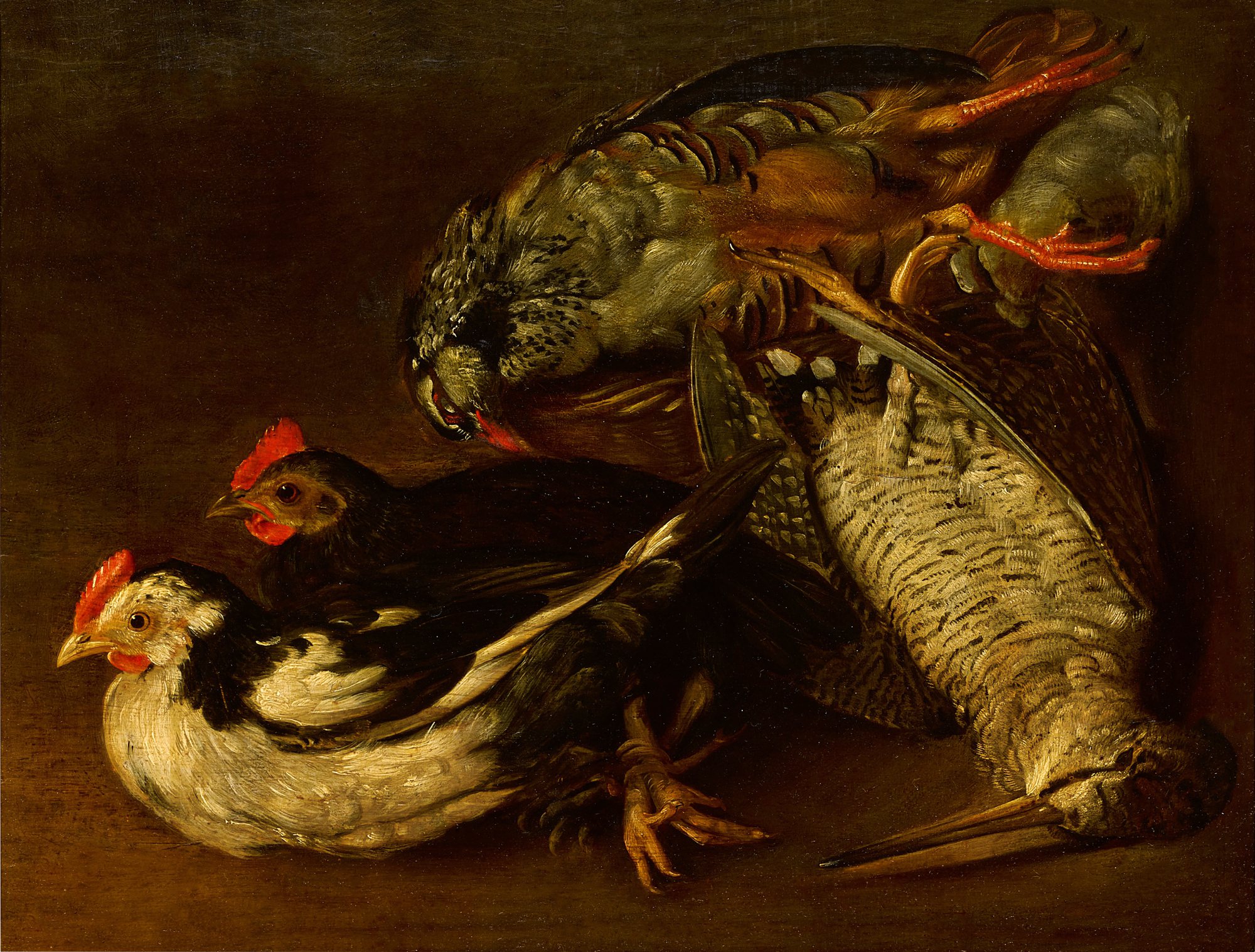 Unknown — A still life with a woodcock, red partridge, and two hens