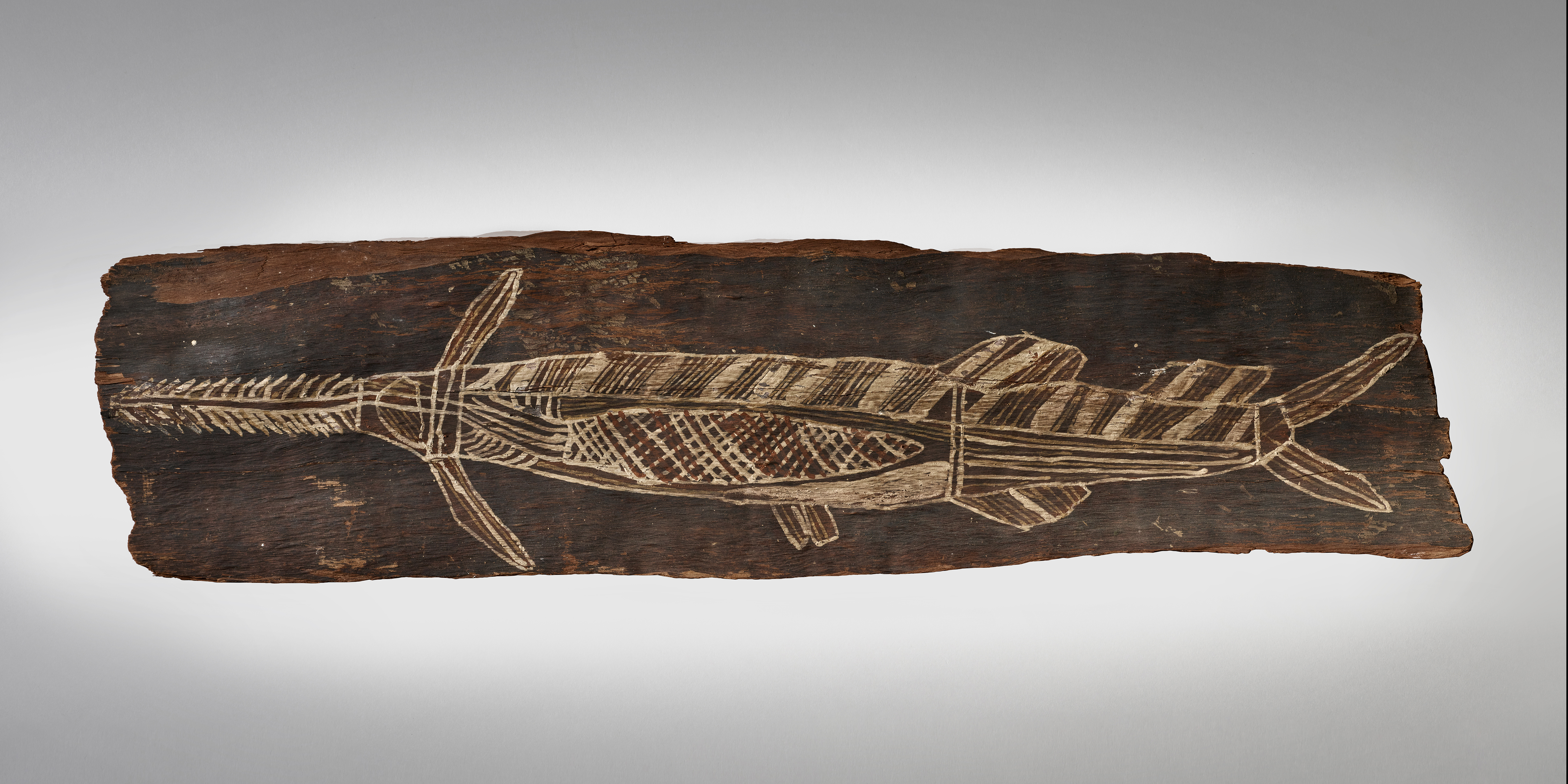 The Saw-Fish, Djun-gundagmun, Oenpelli, Western Arnhem Land, Australia — The Saw-Fish, Djun-gundagmun, Oenpelli, Western Arnhem Land, Australia