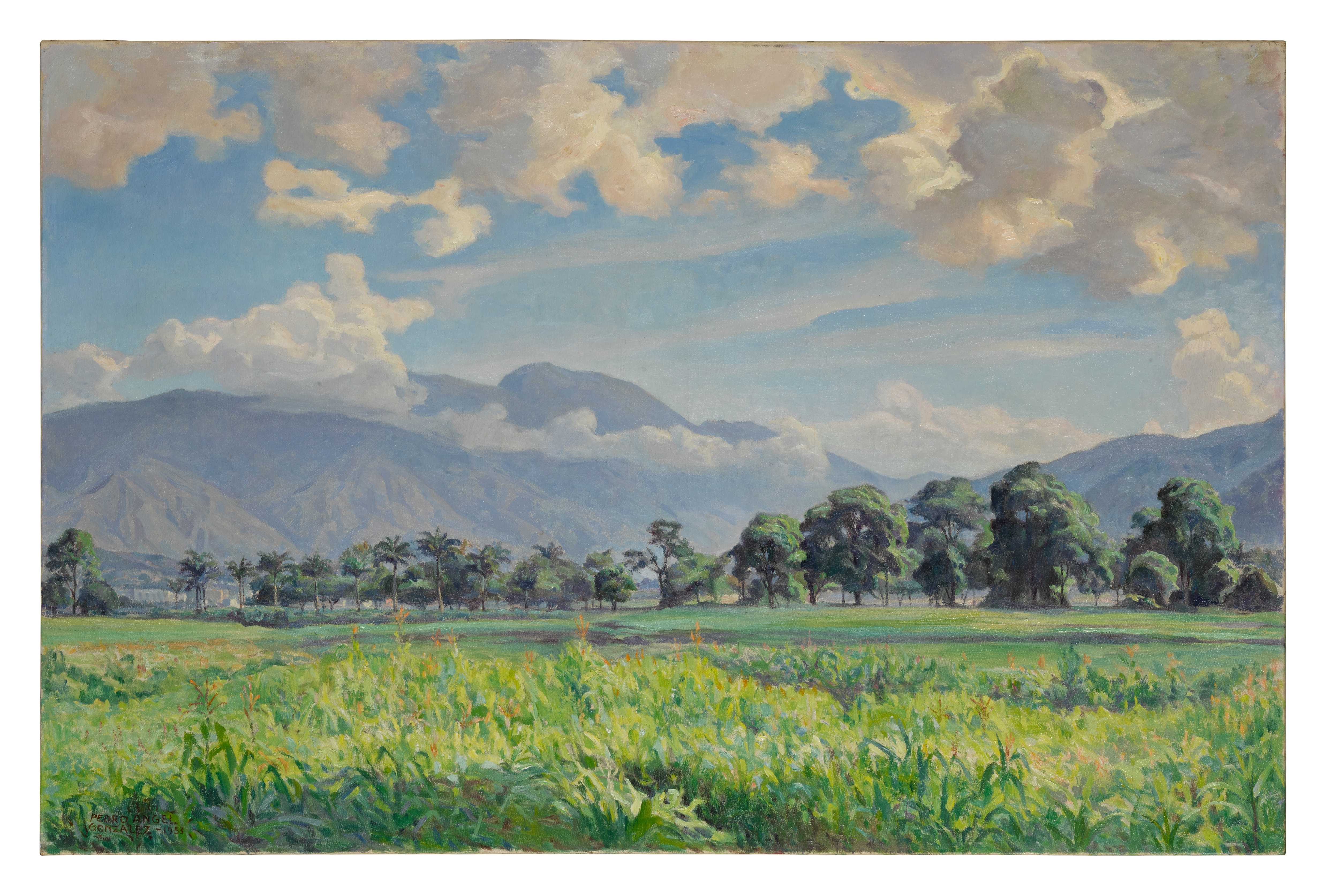 Pedro Angel González