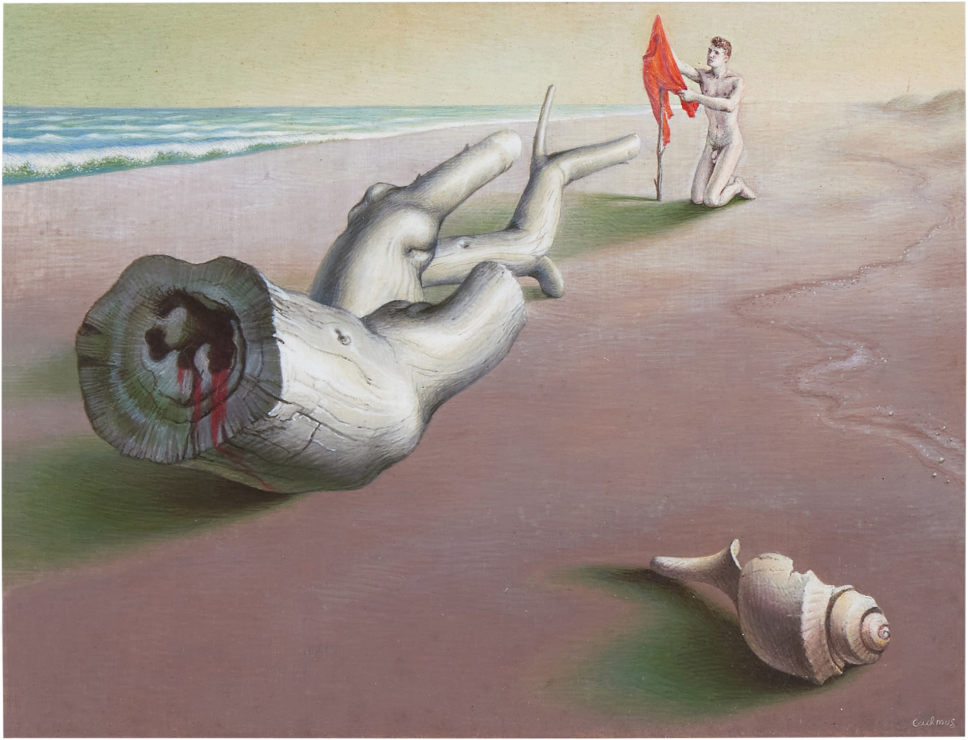 A Shell, a Log and a Figure