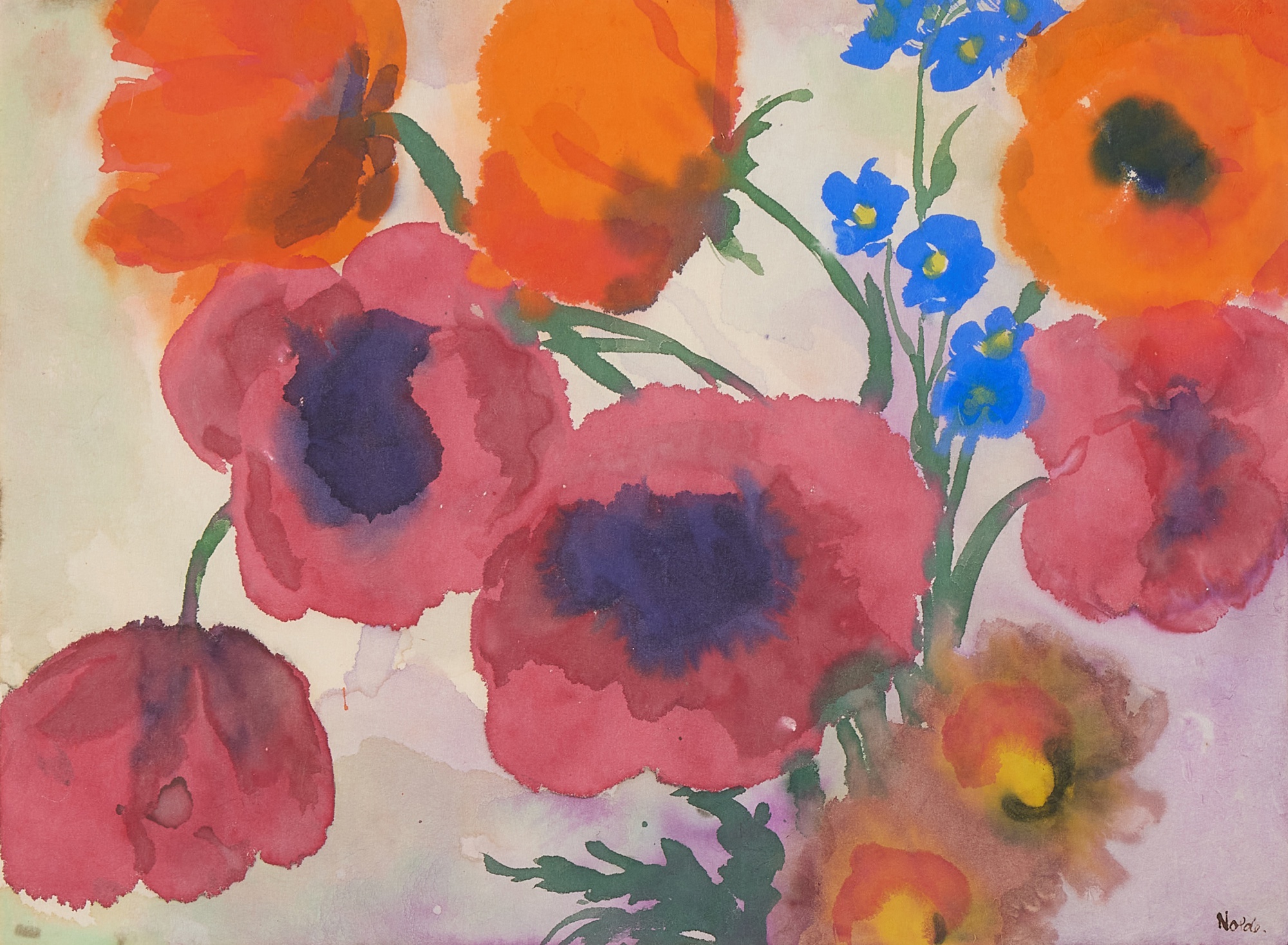Mohnblumen (Poppies)